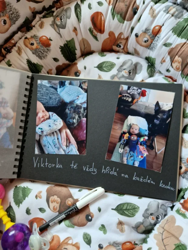 Dětské dřevěné fotoalbum se jménem | Pokladnice vzpomínek miminka - Album barvy čtvrtrky: Sv. modrá