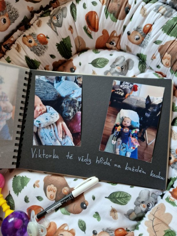 Dětské dřevěné fotoalbum - Album barvy čtvrtrky: Sv. modrá